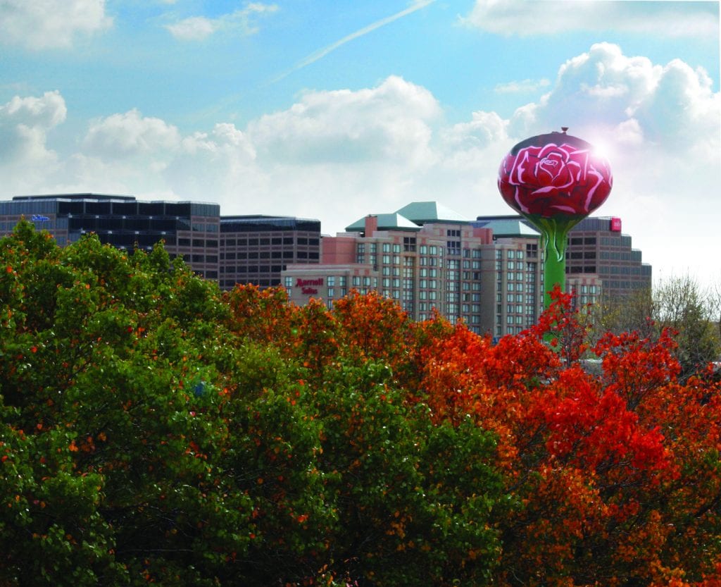 Alternative venues at Rosemont Exhibit City News