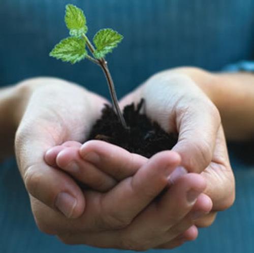052013_goinggreenwithyourtradeshowexperience